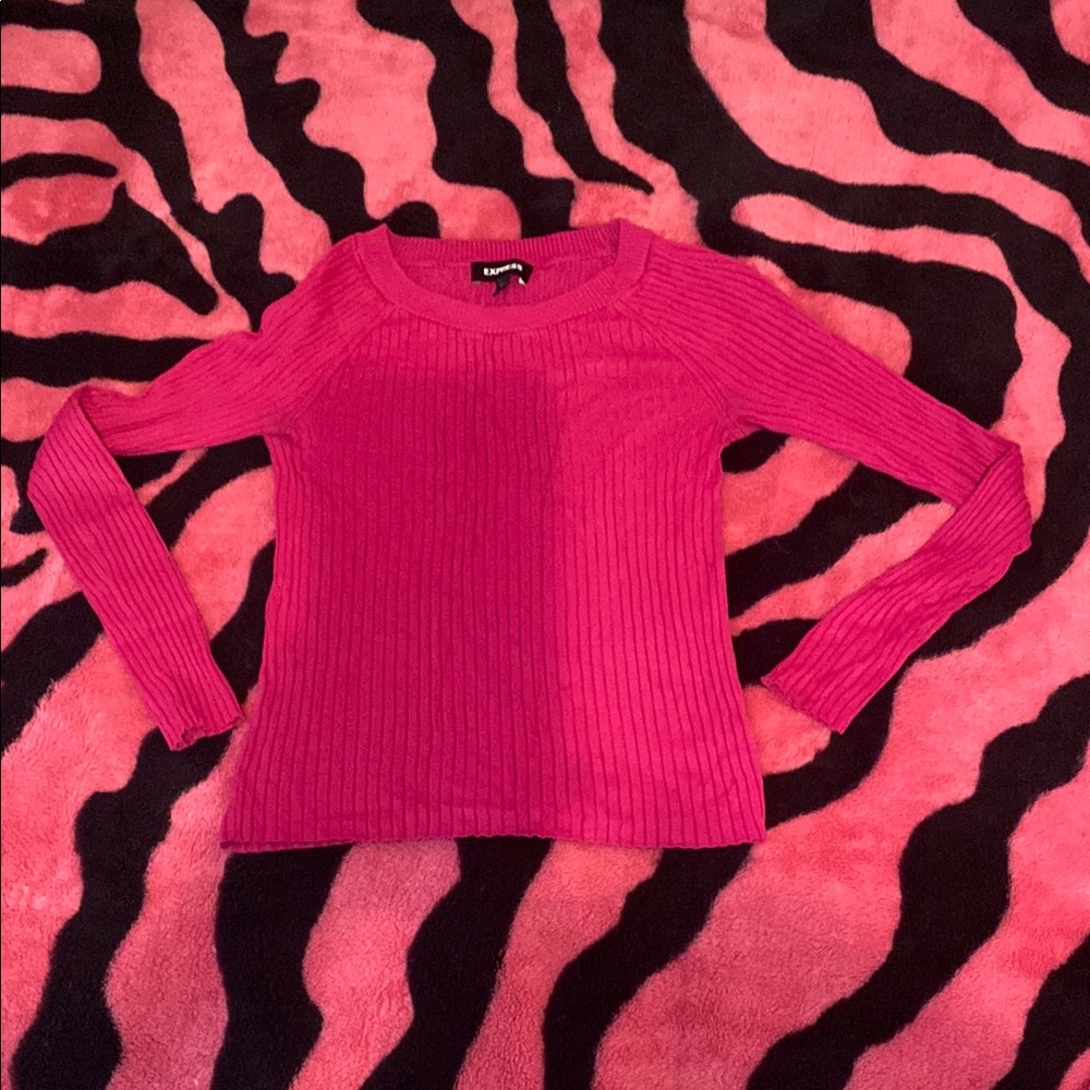 Express Vibrant Pink Sweater